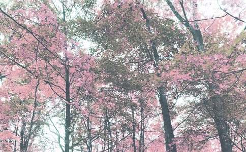 �＾С�W(xu��)����Ӌ��ģ��ϼ���ƪ