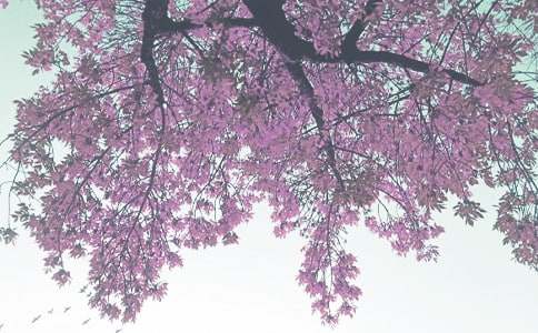 �＾С�W(xu��)����Ӌ��