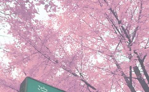 С�W(xu��)�＾��ȫ����Ӌ(j��)��ͨ��