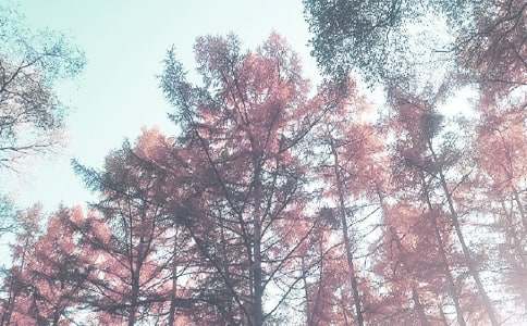 С�W(xu��)�＾����Ӌ(j��)���\��ʮƪ