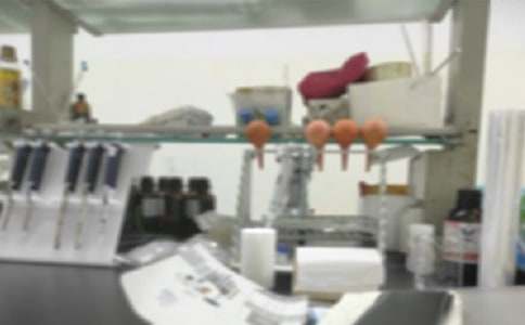 ��(sh��)�(y��n)����ȹ������Y(ji��)���]��