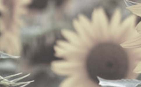 ̫�(y��ng)��������600����ƪ