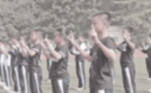 С�W(xu��)�w���̌W(xu��)����Ӌ��(15ƪ)