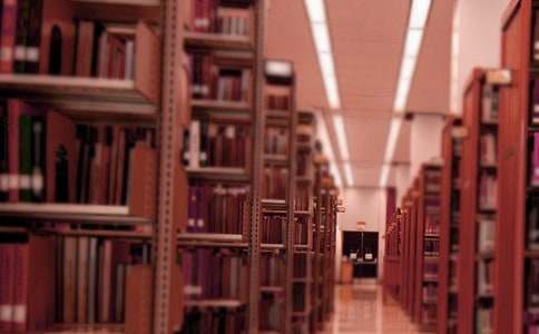 �D���ǹ����ƶ�(����)