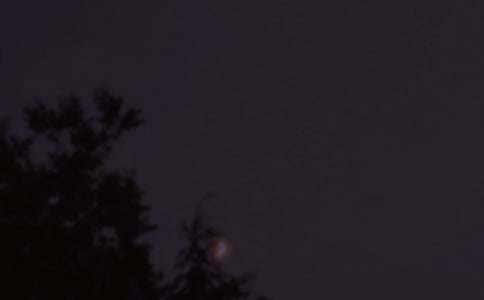 ͨ��Ψ�����������Z����ժ�63�l