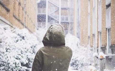 ��ѩ�����ġ���(y��u)��15ƪ��