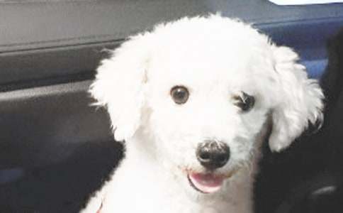 ���P(gu��n)�茑С��������300����ƪ