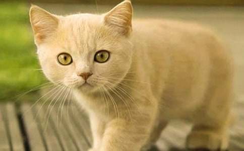 ��С؈��(y��u)������400��3ƪ