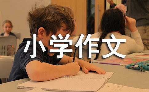 【實(shí)用】我的六年級(jí)小學(xué)作文300字錦集9篇