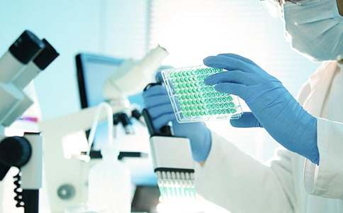 研究生學(xué)習(xí)的計(jì)劃