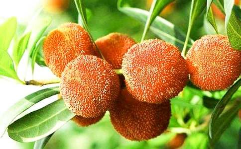 ���ĵė�÷��(y��u)������350��