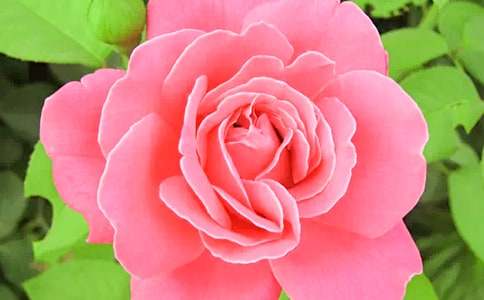 �¼��������^����ӛ��(y��u)�㣨3ƪ��