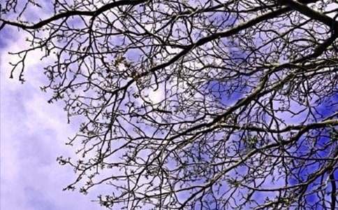 ��(ji��n)�ε����õ��簲ף���Z(y��)�����\��49��