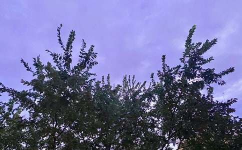 簡(jiǎn)短的美好的早安祝福語(yǔ)短信大匯總55條