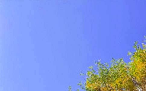 2023�꺆(ji��n)�ε����õ��簲����Ȧף���Z(y��)28��