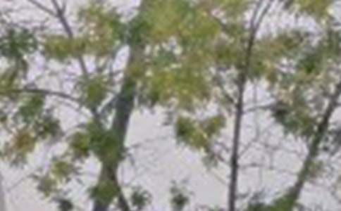 ��(ji��n)�ε����õ��簲ף���Z(y��)����47�l