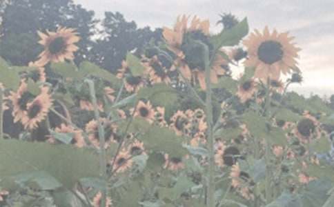 ֲ��@��ӛ����