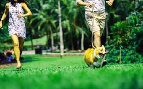 ��ĩ��(ji��n)�Ά�(w��n)�����(5ƪ)