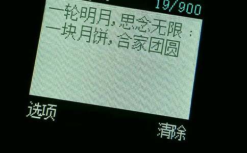 51ף������