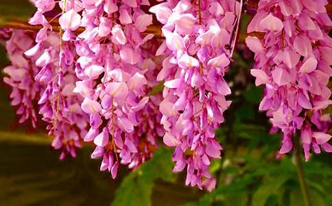 ���ٻ�������600��8ƪ(��(y��u)��)