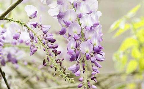 ���ٻ�������300��4ƪ