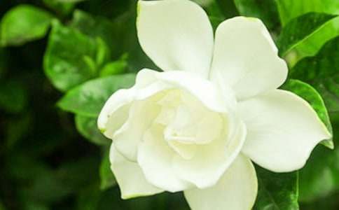 ��ϲ�g�d�ӻ�����