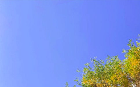 �����A��2025��ÿ��һ���簲΢�ņ����Z180��